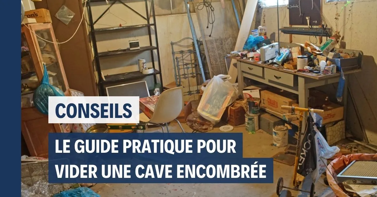 Débarras cave dans la Loire : guide pratique pour vider une cave encombrée