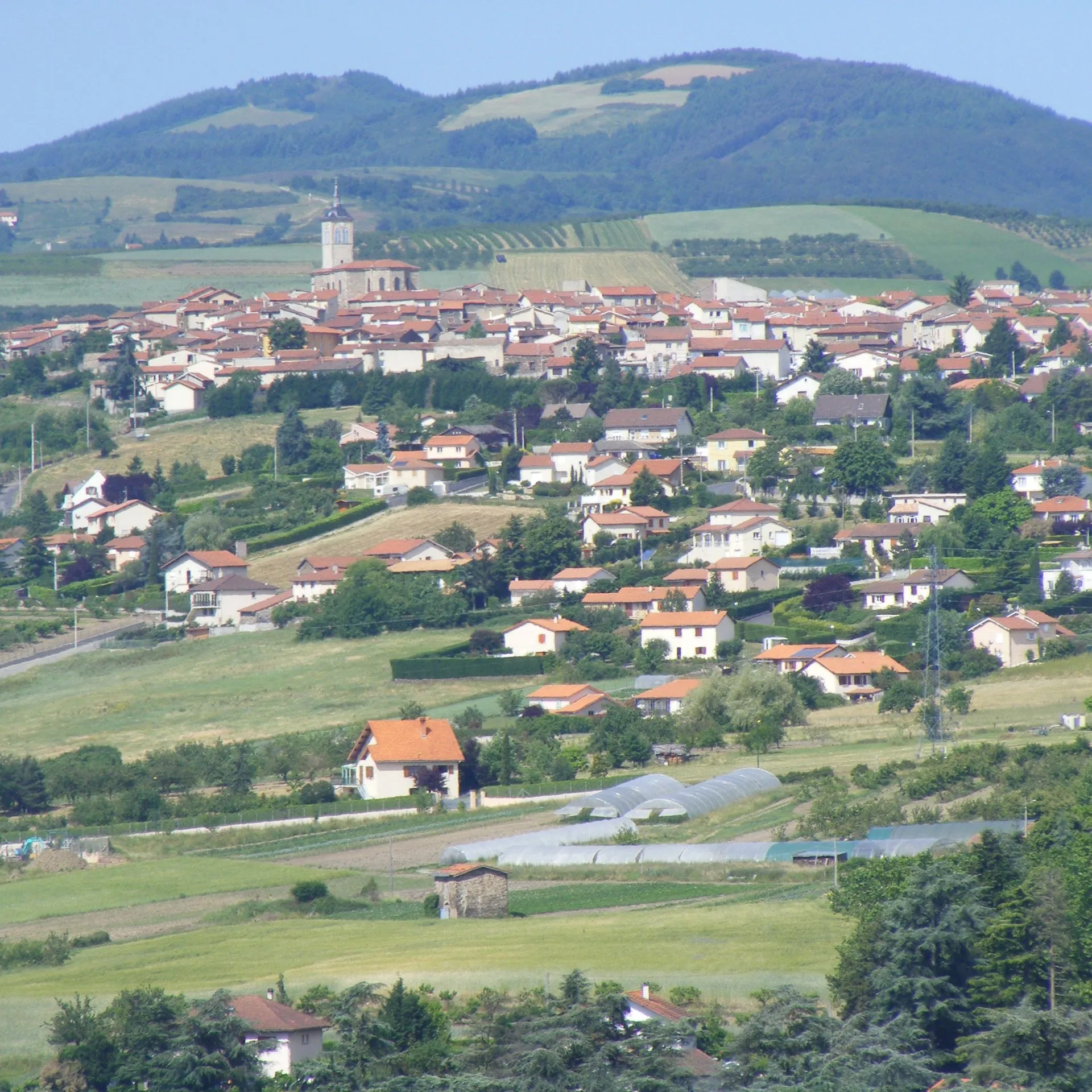 Débarras à Genilac