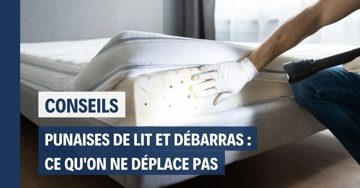 Punaises de lit et débarras : ce qu'on ne déplace pas