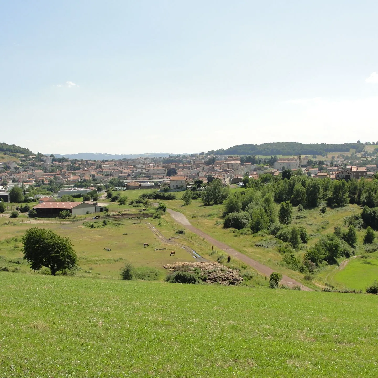 Débarras à Roche-la-Molière