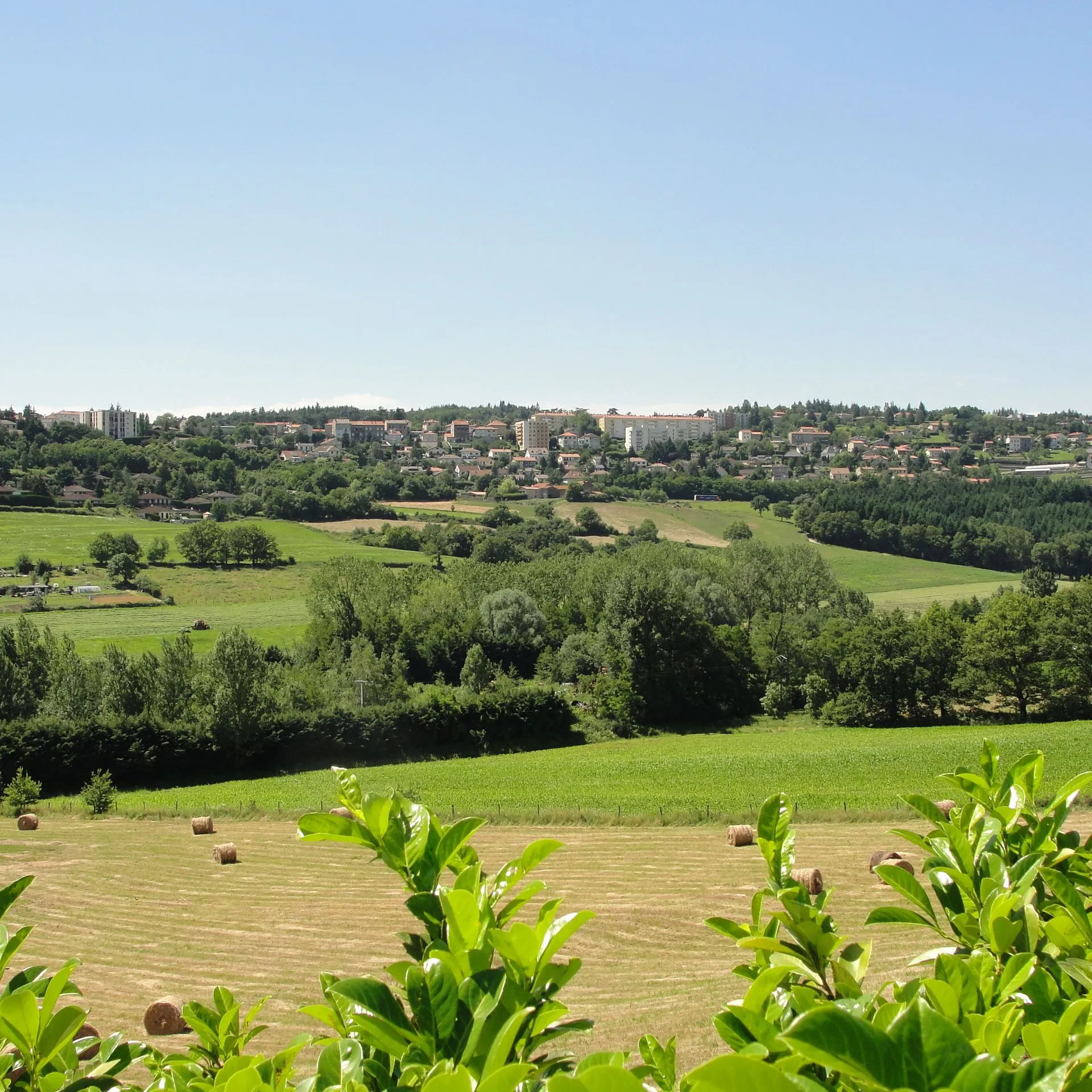 Débarras à Saint Genest Lerpt